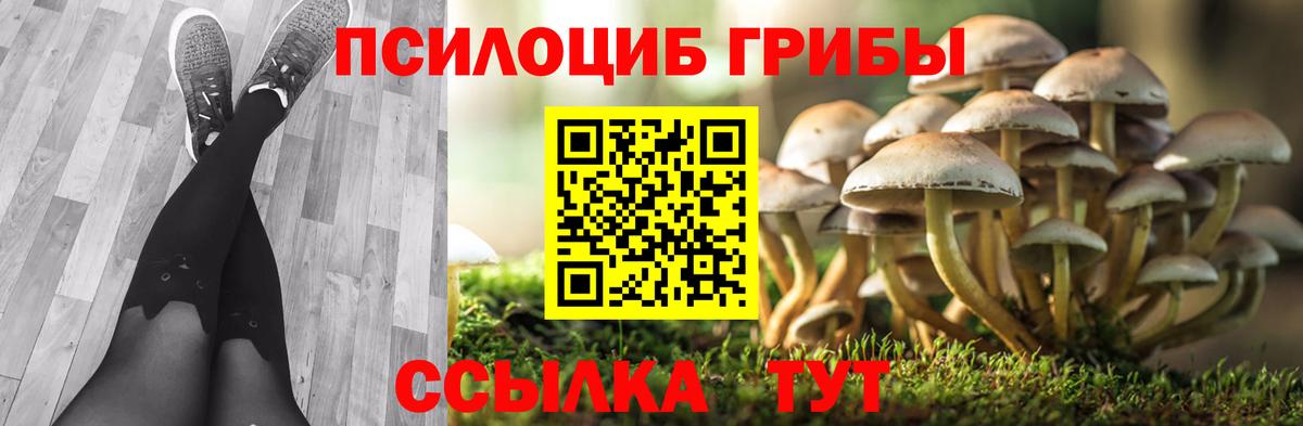 Псилоцибиновые грибы мицелий Белая Калитва